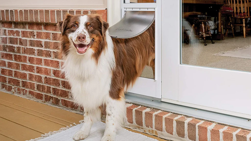 Designing a Pet-Friendly Patio: Sliding French Doors for Easy Access