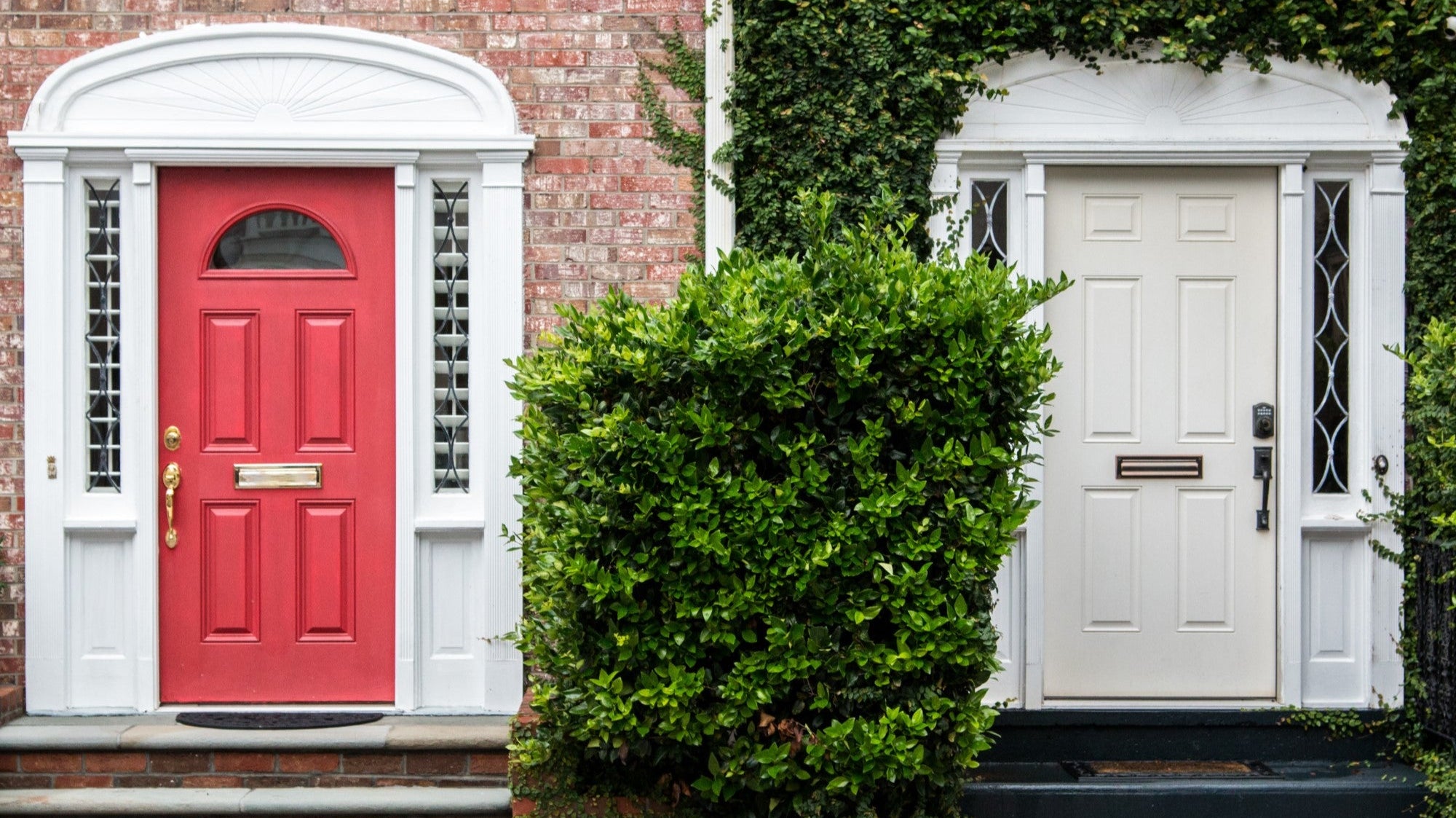 How to Maintain and Care for Solid Wood Front Doors
