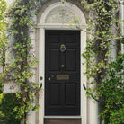 Tricorn Black Door Paint (1 Quart) - Pease Doors: The Door Store
