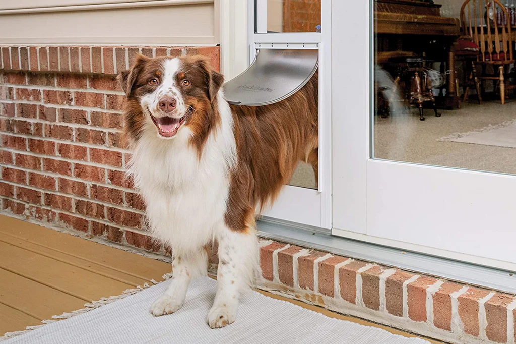 Designing a Pet-Friendly Patio: Sliding French Doors for Easy Access