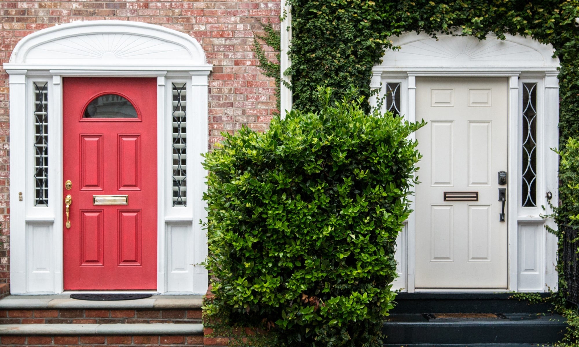How to Maintain and Care for Solid Wood Front Doors