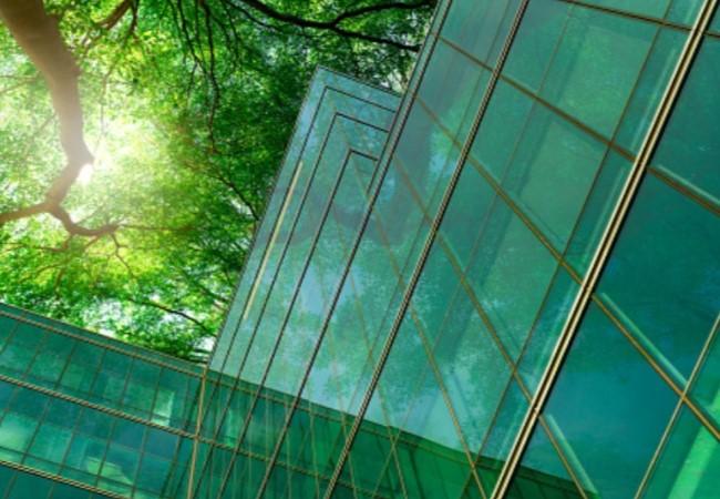 Low-E Door Glass - Pease Doors: The Door Store