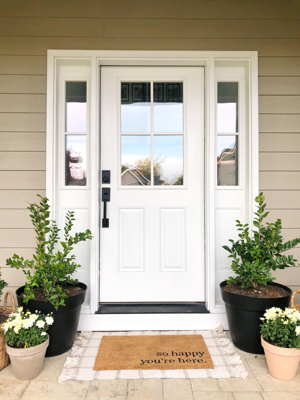 Finished entry door system project