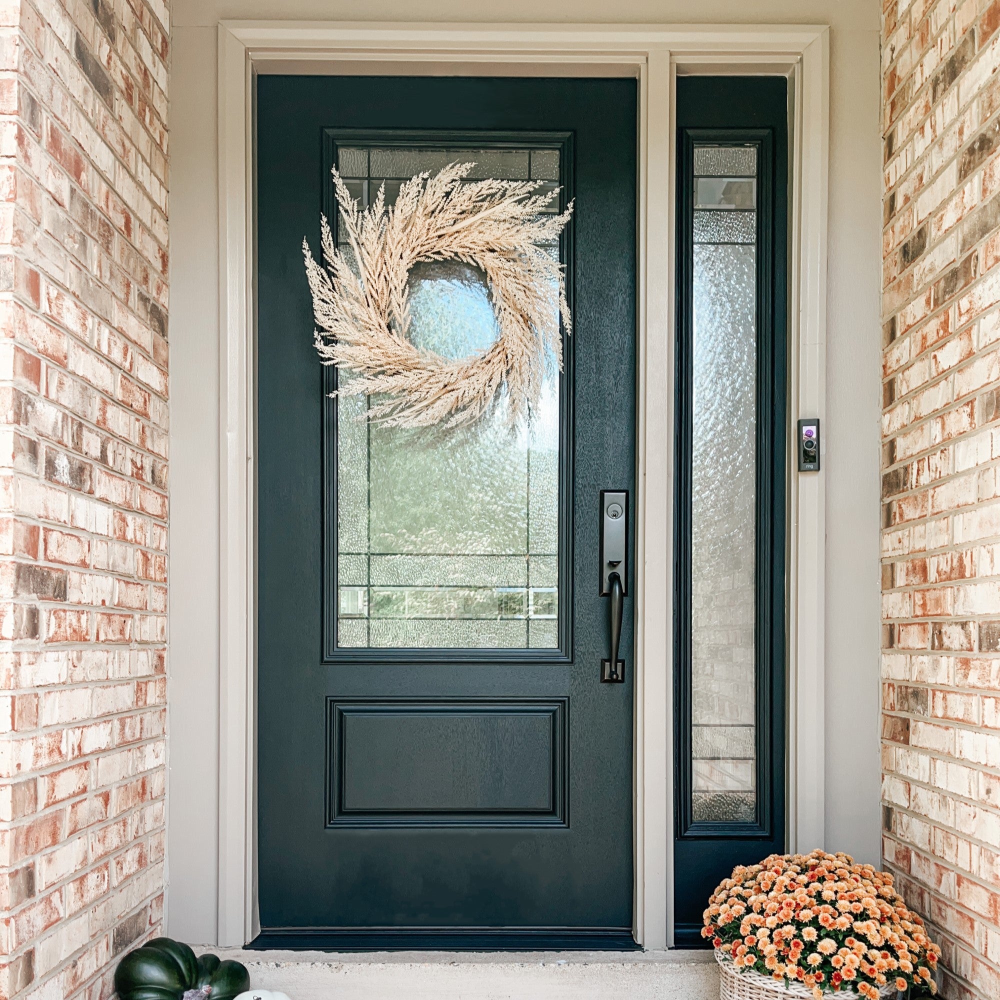 Finished entry door system project