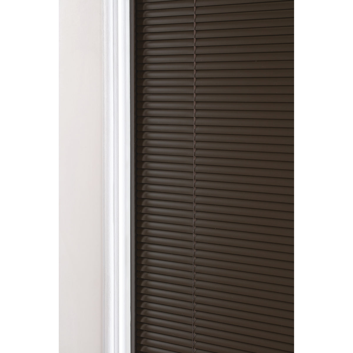 Edge view of blinds sealed between the glass of a door