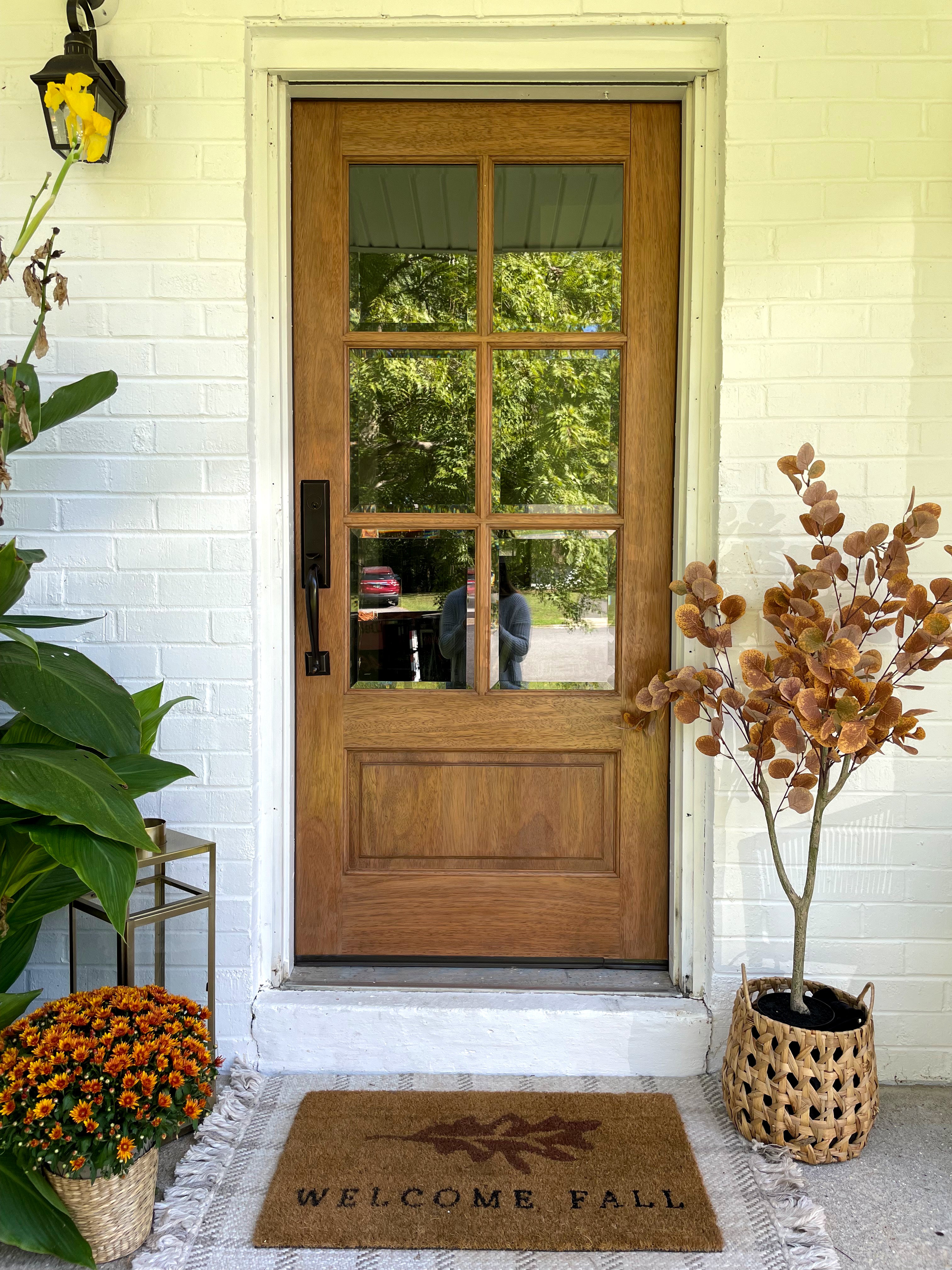 Finished entry door system project