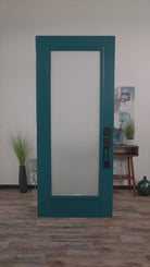 Frost Video Door Glass