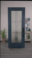 Apshire Video Door Glass